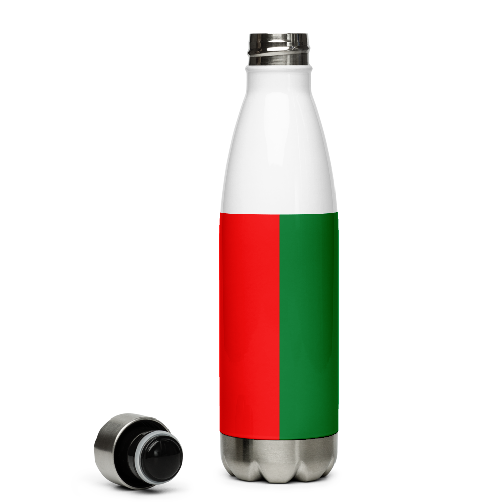 LionDem Stainless Steel Water Bottle