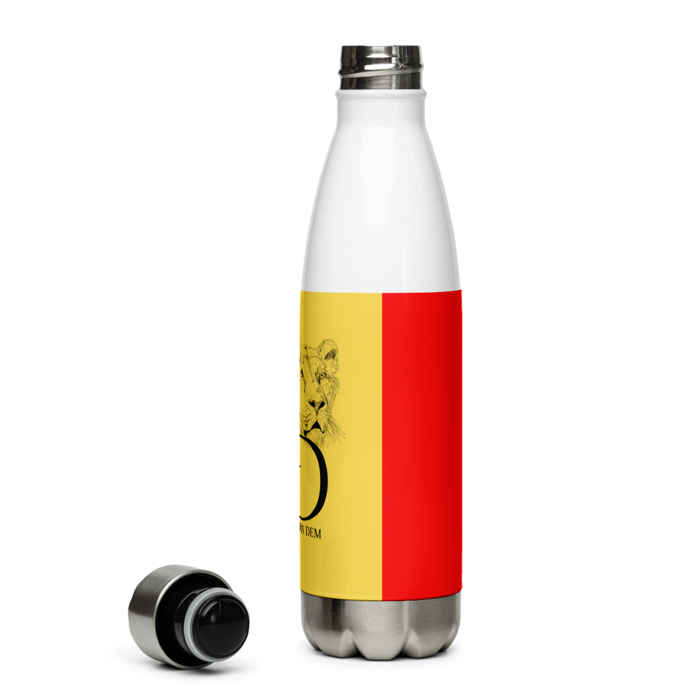 LionDem Stainless Steel Water Bottle